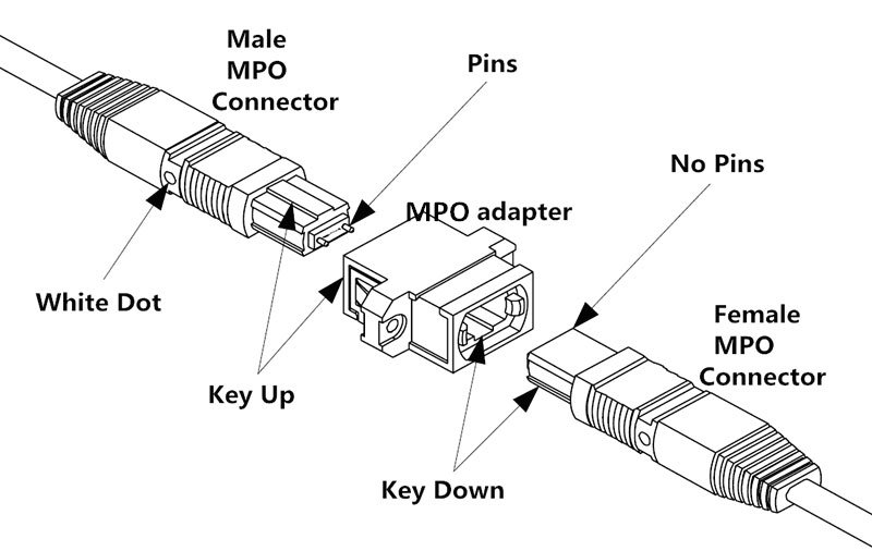 What are MTP / MPO Fiber Cables?