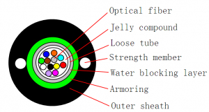 GYXTW structure