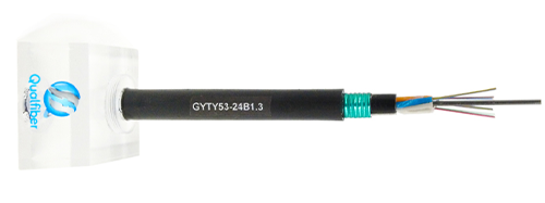 gyty53 24 core