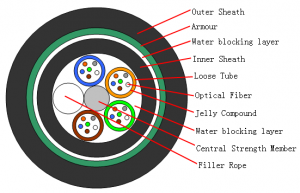 gyty53 structure